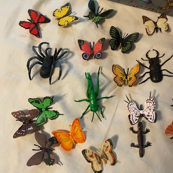 Colorful Insect and Butterfly Collection Box - Picture 3 of 10